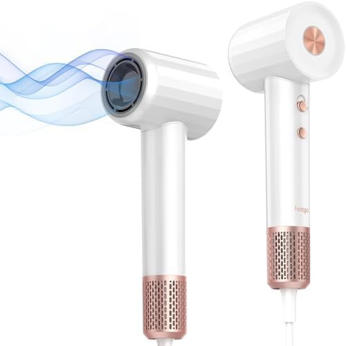White brushless motor quiet ionic dryer