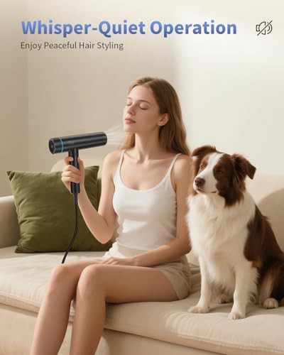 Black brushless motor ionic hair dryer — photo 3
