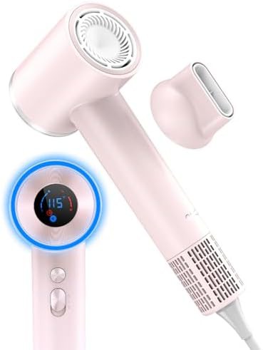 Portable quiet brushless motor dryer